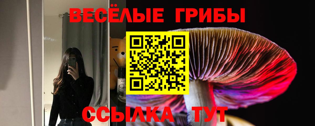 Галлюциногенные грибы мицелий  Вход с VPN  Иркутск 